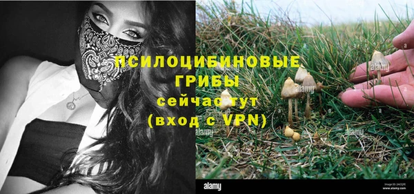 твердый Майский