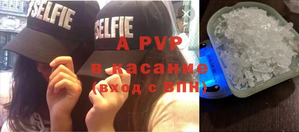 твердый Майский
