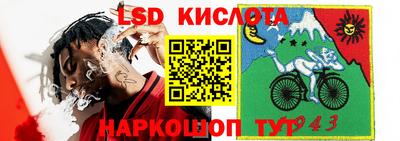 индика Волжский