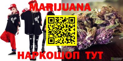 индика Волжский