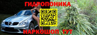индика Волжский