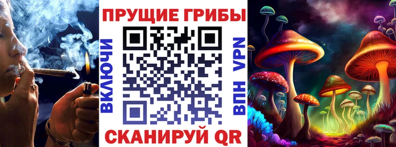 Псилоцибиновые грибы Cubensis  Междуреченск 