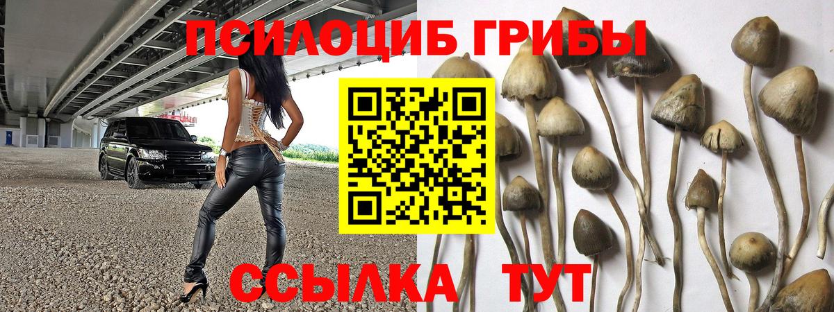 Междуреченск  Псилоцибиновые грибы ЛСД  Галлюциногенные грибы Magic Shrooms  что такое наркотик  Вход с VPN 